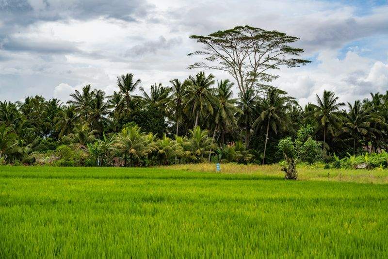 Mantenimiento básico de maquinaria agrícola: hábitos que ahorran tiempo