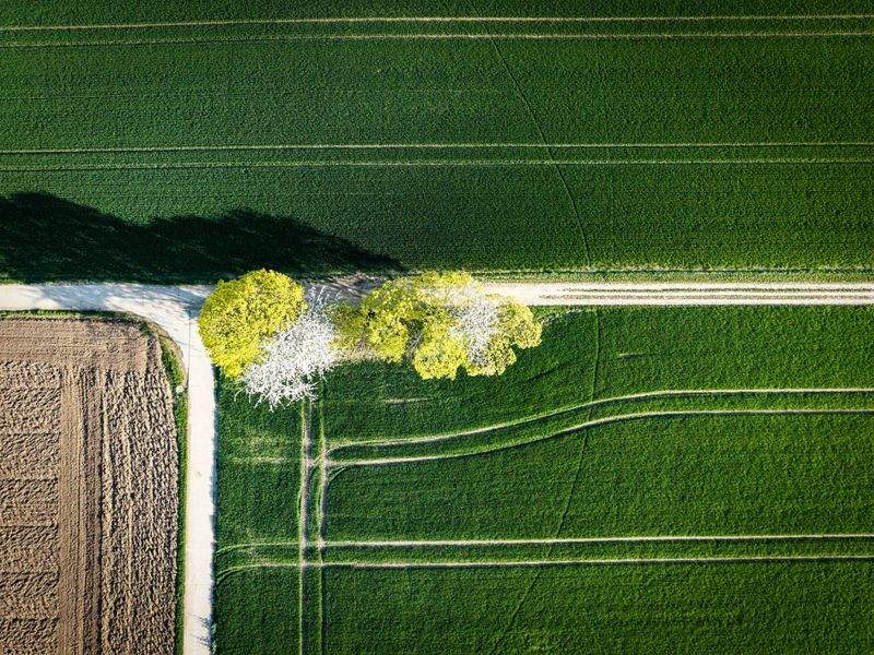 AgroSierra Rural Servicios 2