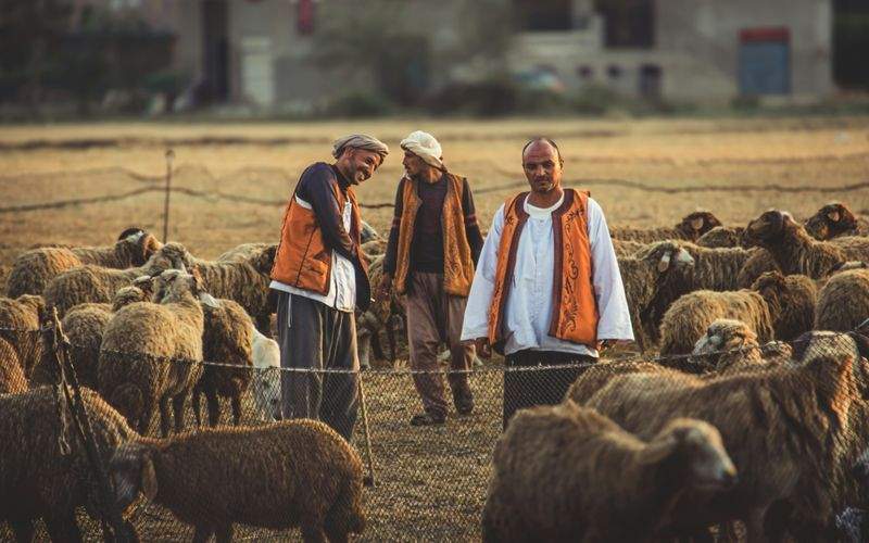 AgroSierra Rural Servicios 4