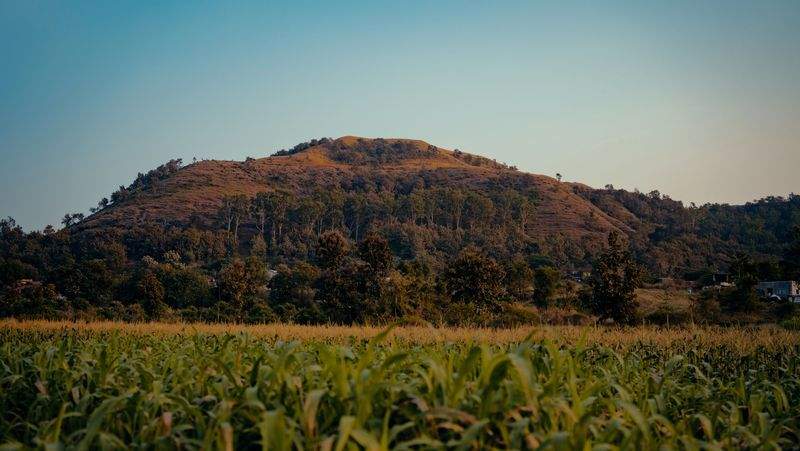 AgroSierra Rural Servicios 6